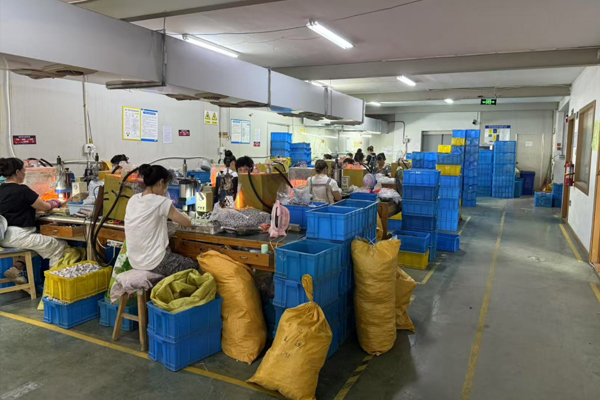 Manual Assembly Line