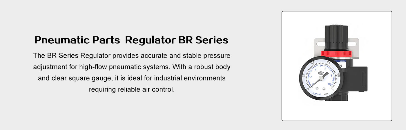 Pneumatic Parts Regulator BR Series white